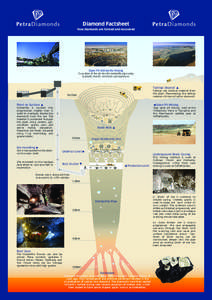 13.03.12_PDL_diamond_factsheet_(LH)