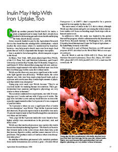 Inulin May Help With Iron Uptake, Too C  halk up another potential health benefit for inulin, a