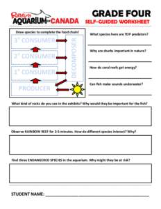 GRADE FOUR SELF-GUIDED WORKSHEET 3o CONSUMER o