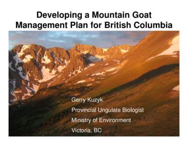 Developing a Mountain Goat Management Plan for British Columbia Gerry Kuzyk Provincial Ungulate Biologist Ministry of Environment
