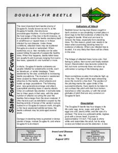 State Forester Forum  DOUGLAS-FIR BEETLE The most important bark beetle enemy of Douglas-fir, locally known as red fir, is the Douglas-fir beetle, Dendroctonus