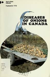 Diseases of onions in Canada