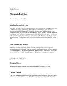 Cole Crops XXIII - Alternaria Leaf Spot