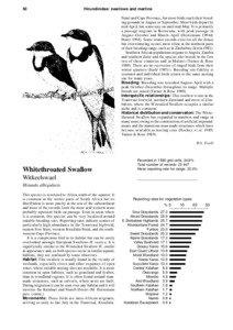 50  Hirundinidae: swallows and martins