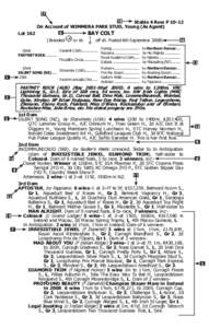 Horse racing / Curragh / Danehill