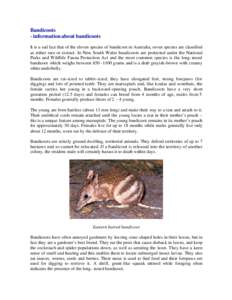 Bandicoots - information about bandicoots It is a sad fact that of the eleven species of bandicoot in Australia, seven species are classified as either rare or extinct. In New South Wales bandicoots are protected under t