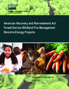 United States Department of Agriculture Office of Inspector General American Recovery and Reinvestment Act Forest Service Wildland Fire Management Wood-to-Energy Projects