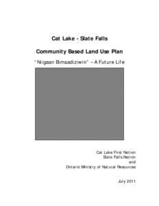 Cat Lake-Slate Falls Community Based Land Use Plan 