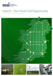 Ireland – Your Smart Grid Opportunity Smart thinking, Smart infrastructure, Smart island 1 The Smart Grid Opportunity