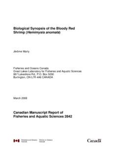 Mysida / Hemimysis anomala / Zoology