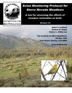 Passerida / Birds of North America / Setophaga / Ecology of the Sierra Nevada / Nearctic ecozone / The Institute for Bird Populations / Meadow / Spotted towhee / Restoration ecology / Willow flycatcher / Yellow-rumped warbler / Bird