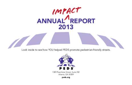 IMPACT V ANNUAL REPORT 2013