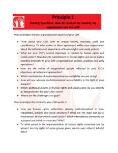 Principle 1 Guiding Questions: How do I look at my context, my organization and my-self? How to analyze relevant organizational aspects of your CSO  Think about your CSO, with its unique history, mandate, staff, and c