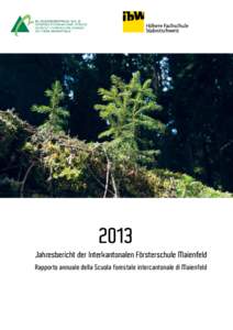 2013 Jahresbericht der Interkantonalen Försterschule Maienfeld Rapporto annuale della Scuola forestale intercantonale di Maienfeld Inhalt