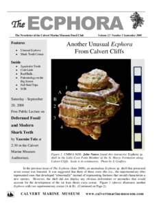 The  ECPHORA The Newsletter of the Calvert Marine Museum Fossil Club