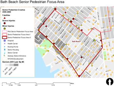 Bath Beach Senior Pedestrian Focus Area  n u 