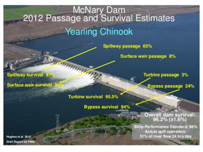 McNary Dam 2012 Passage and Survival Estimates Yearling Chinook Spillway passage 65% Surface weir passage 8%