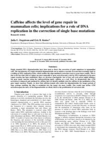Gene Therapy and Molecular Biology Vol 9, page 445 Gene Ther Mol Biol Vol 9, [removed], 2005 Caffeine affects the level of gene repair in mammalian cells; implications for a role of DNA replication in the correction of sin