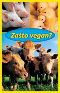 PRETVORBA ŽIVOTINJA U HRANU Mnogi ljudi vjeruju da se sa životinjama uzgajanima za hranu zasigurno dobro postupa jer bolesne i mrtve životinje stočarska industrija ne može prodati. To nije istina. INDUSTRIJALIZIRAN