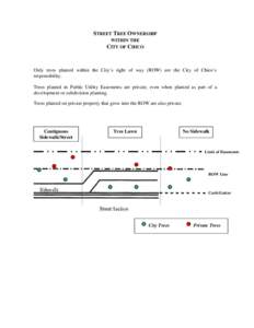 STREET TREE OWNERSHIP WITHIN THE CITY OF CHICO Only trees planted within the City’s right of way (ROW) are the City of Chico’s responsibility.