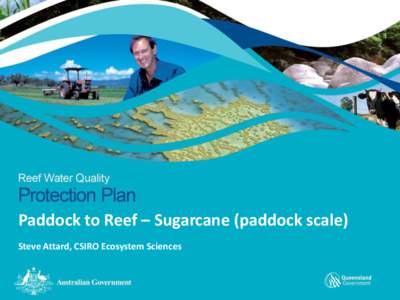 Paddock to Reef – Sugarcane (paddock scale) Steve Attard, CSIRO Ecosystem Sciences The story so far… • late 2000’s – development of WQIP • ABCD framework for sugarcane