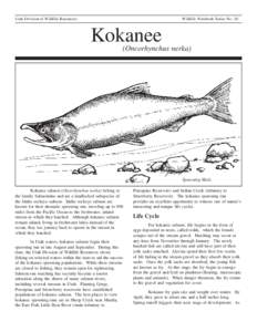 Utah Division of Wildlife Resources  Wildlife Notebook Series No. 10 Kokanee
