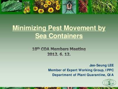 Minimizing Pest Movement by Sea Containers Jae-Seung LEE Member of Expert Working Group, IPPC Department of Plant Quarantine, QIA