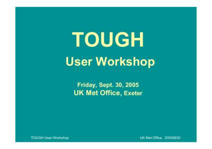 TOUGH User Workshop Friday, Sept. 30, 2005 UK Met Office, Exeter  TOUGH User Workshop