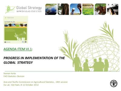 AGENDA ITEM VI.1: PROGRESS IN IMPLEMENTATION OF THE GLOBAL STRATEGY Naman Keita FAO Statistics Division Asia and Pacific Commission on Agricultural Statistics, 24th session