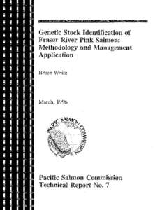 Genetic Stock Identification of Fraser River Pink Salmon: Methodology and Management Application Bruce White