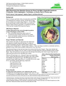 Lepidoptera / Plum / Botany / Biology / Taxonomy / Tortricidae / Grapholita funebrana / Prunus