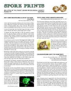 SPOR E PR I N TS BULLETIN OF TH E PUGET SOUND MYCOLOGICAL SOCIETY Number 511 AprilWHY SOME MUSHROOMS GLOW IN THE DARK