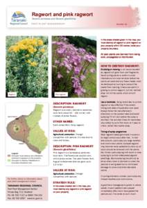 Ragwort and pink ragwort Senecio jacobaea and Senecio glastifolius Number 14 In the areas shaded green in the map, you must destroy all ragwort or pink ragwort on