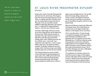 Duluth /  Minnesota / Water / Lake Superior / Duluth–Superior / Saint Louis River / Estuary / Twin Ports / Superior Bay / Seiche / Geography of the United States / Geography of Minnesota / Great Lakes