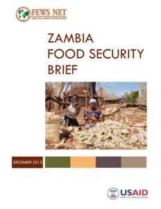 ZAMBIA FOOD SECURITY BRIEF DECEMBER 2013