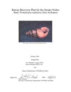 Kansas Recovery Plan for the Slender Walker Snail, Pomatiopsis lapidaria (Say) In Kansas Photo courtesy of Paul Lechtl, Kansas Biological Survey  October, 2003