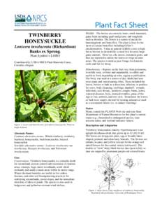 Plant Fact Sheet for twinberry honeysuckle (Lonicera involucrata)