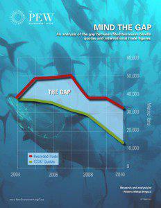 MIND THE GAP  An analysis of the gap between Mediterranean bluefin