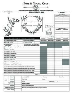 Antler / Hunting / Beam / Structure / Matter / Solid mechanics / Statics / Structural system