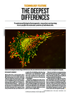 TECHNOLOGY FEATURE  THE DEEPEST DIFFERENCES S. GSCHMEISSNER/SPL