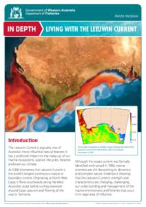 Fish for the future  IN DEPTH Living with the Leeuwin Current