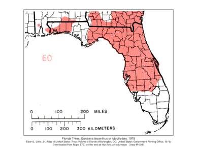 Florida Trees, Gordonia lasianthus or loblolly-bay, 1978 Elbert L. Little, Jr., Atlas of United States Trees Volume 5 Florida (Washington, DC: United States Government Printing Office, 1978) Downloaded from Maps ETC, on 