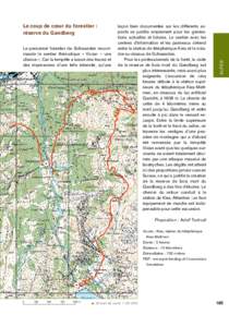 Le personnel forestier de Schwanden recom­ mande le sentier thématique « Vivian – une chance ». Car la tempête a laissé des traces et des impressions d’une telle intensité, qu’une  leçon bien documentée su