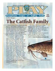 Fall 2008 by Kim Mumper The Catfish