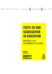 STEPS TO END SEGREGATION IN EDUCATION BRIEFING TO THE GOVERNMENT OF SLOVAKIA