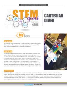 SHORT DISCOVERY-BASED STEM EXPERIENCES  STEM gems Brought to you by the NATIONAL