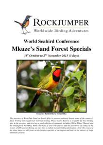 World Seabird Conference  Mkuze’s Sand Forest Specials 31st October to 2nd November[removed]days)  Gorgeous Bushshrike by Adam Riley