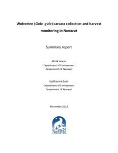 Microsoft Word - Wolverine harvest[removed]draft report_GS_Nov_2012_MA_Final
