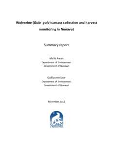 Mustelinae / Wolverine / Umingmaktok / Adipose tissue / Cambridge Bay / Arviat / Kivalliq Region / Kugluktuk / Kitikmeot / Zoology / Nunavut / Military personnel