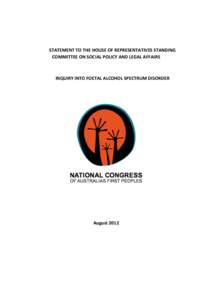 Syndromes / Teratogens / Indigenous peoples of Australia / Fetal alcohol spectrum disorder / Fetal alcohol syndrome / Indigenous Australians / Torres Strait Islands / Torres Strait Islanders / Health / Alcohol abuse / Mental retardation